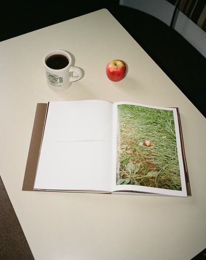 Episode 4 'The Way Home'