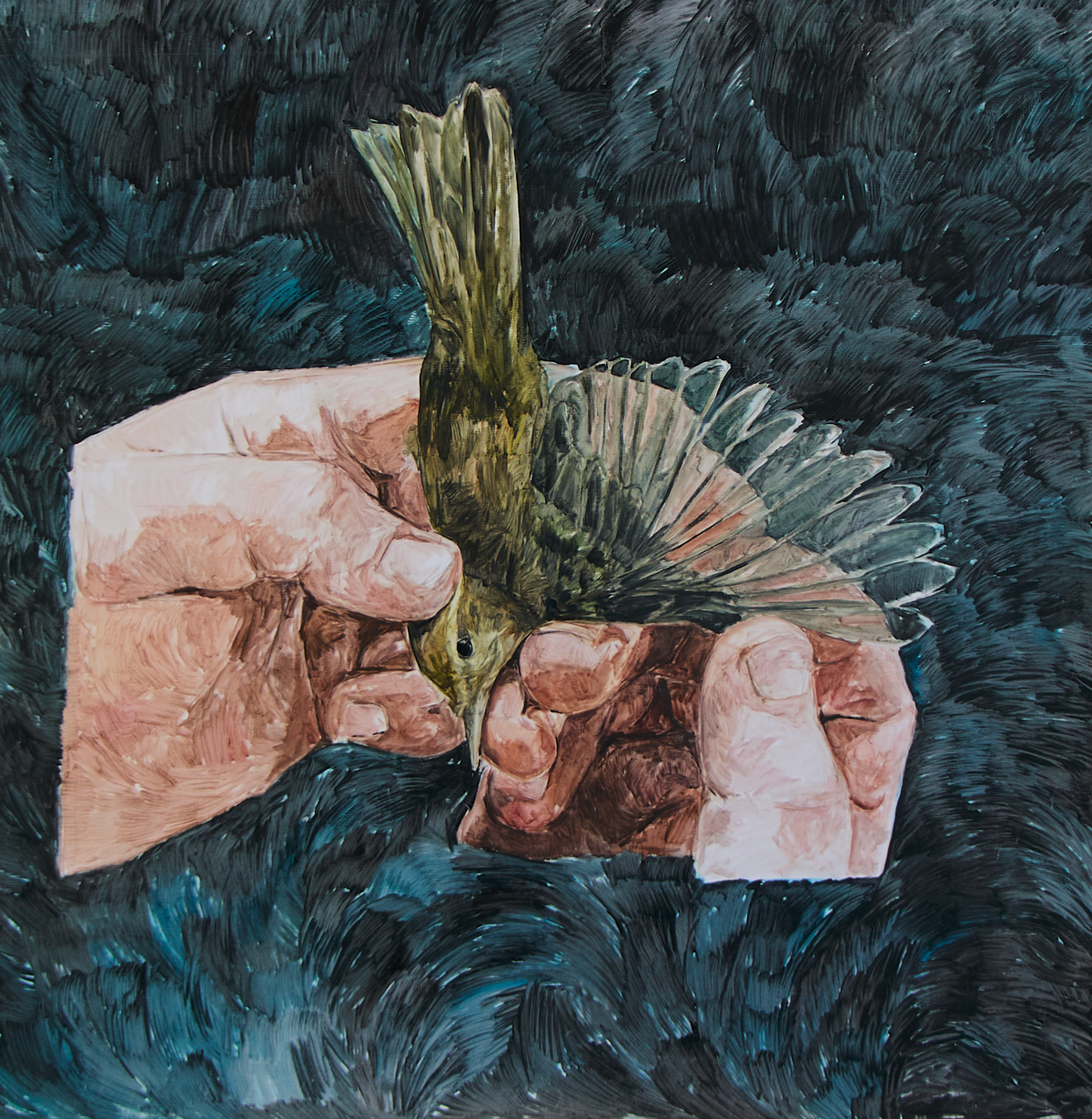 Colibrí (2025)