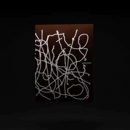 Episode 4 'The Way Home'