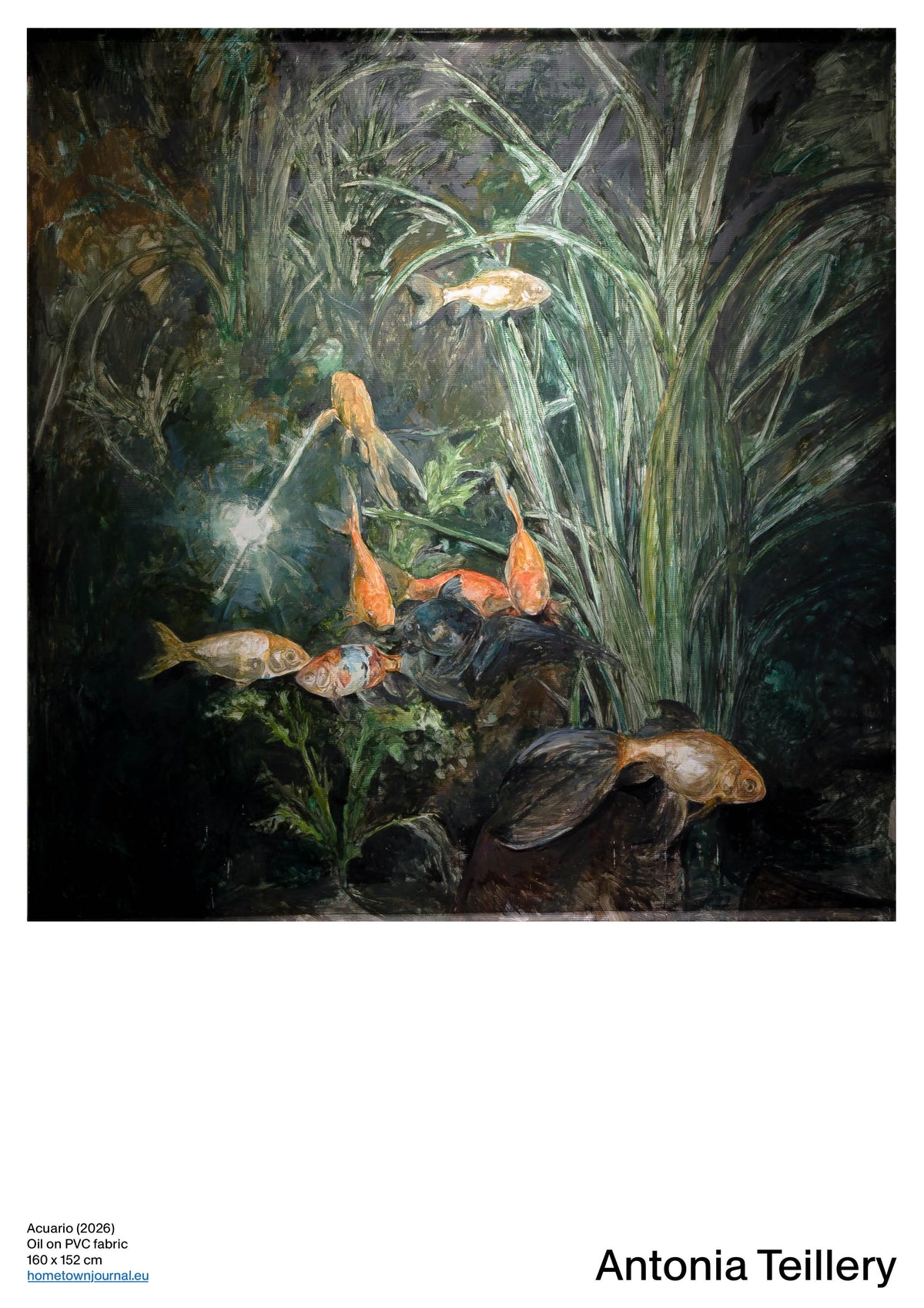 Acuario (2026)